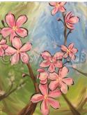 The image for Pink Blooms